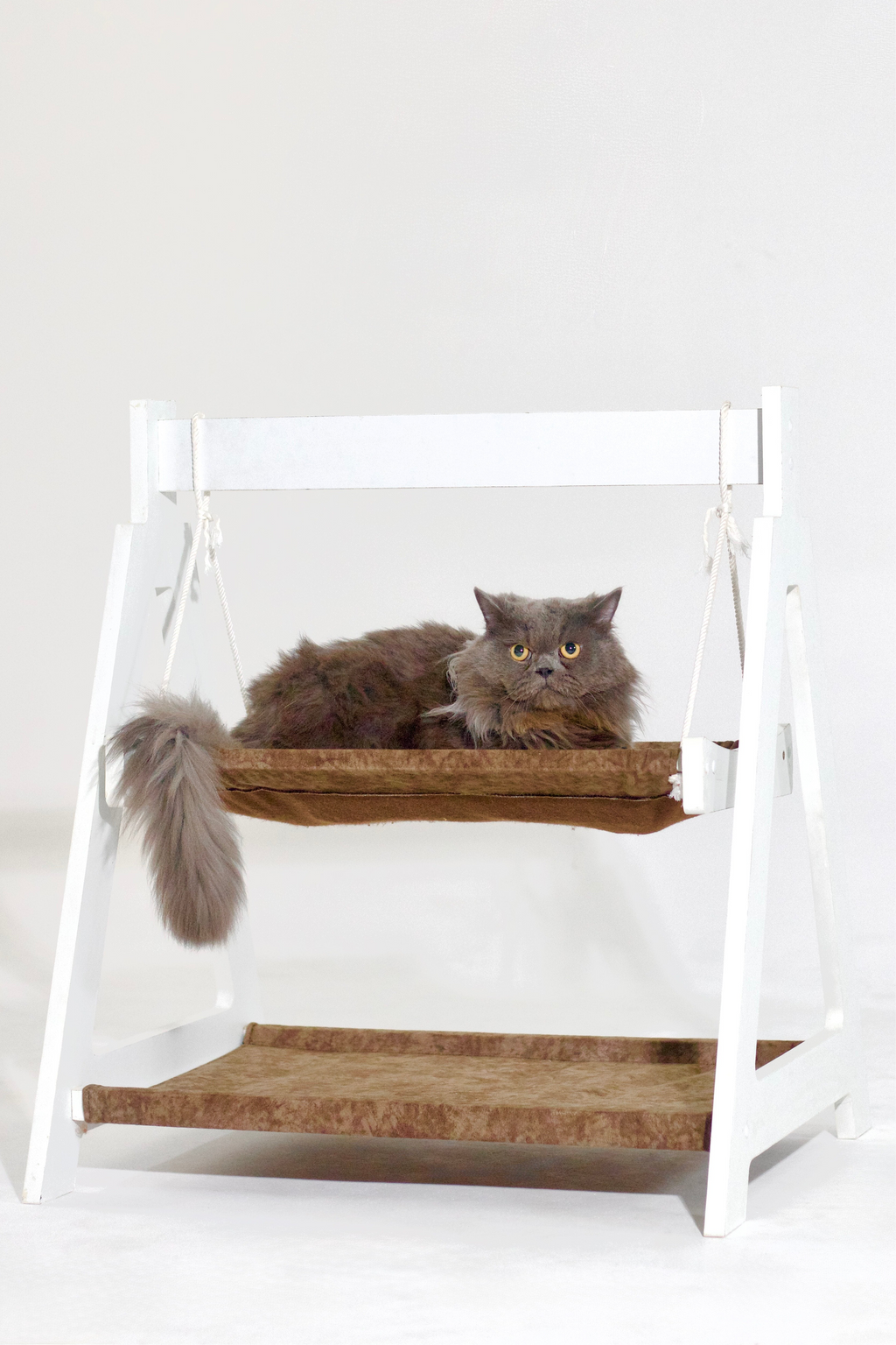 PURRCH PERCH – The Swinging Cat Hammock