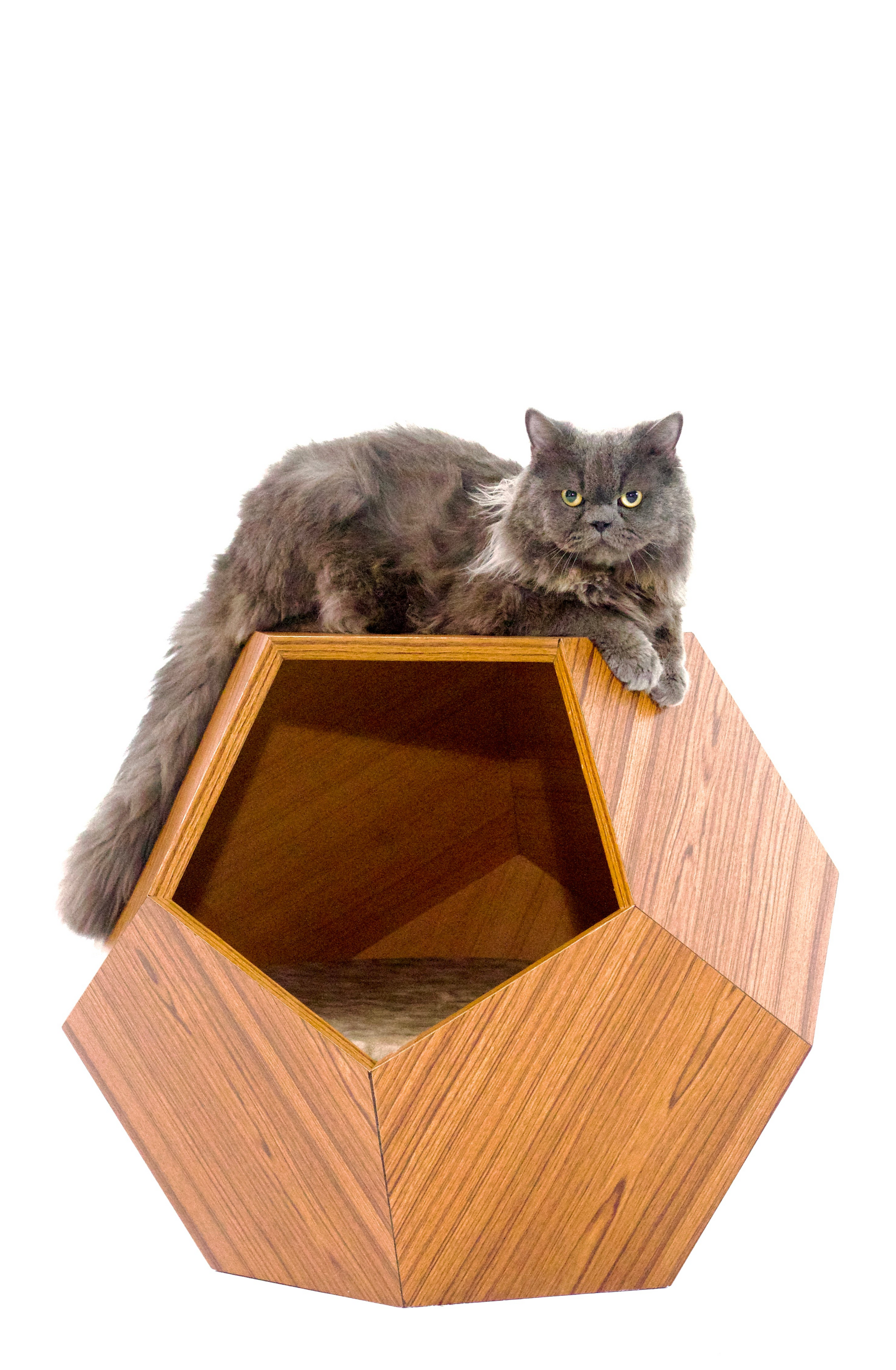DODECO DEN – Modern Side Table Featuring a Cozy Pet Hideaway